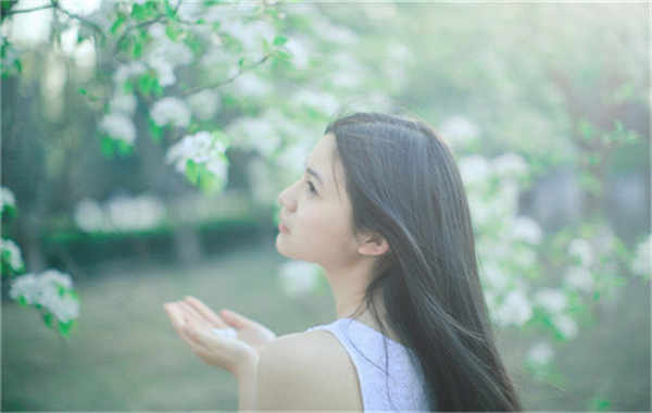普陀验血查男女几周可以验(验血查男女结果图)